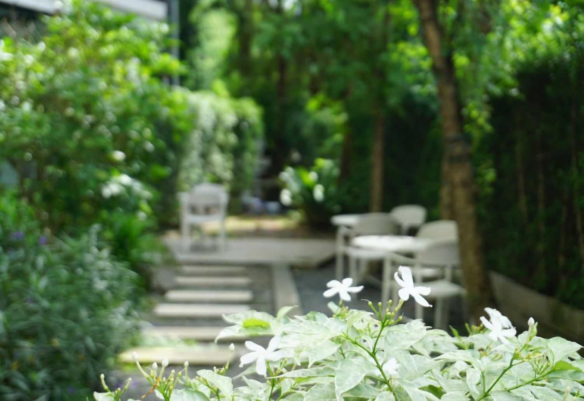 Collection O The Singha Chiangmai Hotel Chiang Mai Zewnętrze zdjęcie